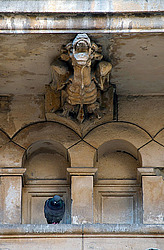 ������, �������