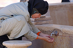 �����, ������