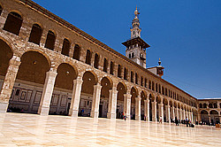 �����, ������