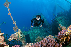 ��������� ������ �� ���������� ����� ������ �, ������� ����, ������