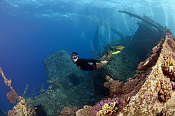 ��������� ������ �� ���������� ����� ������ �, ������� ����, ������