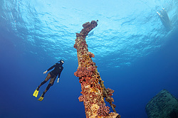 ��������� ������ �� ���������� ����� ������ �, ������� ����, ������