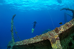 ��������� ������ �� ���������� ����� ������ �, ������� ����, ������