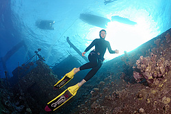 ��������� ������ �� ���������� ����� ������ �, ������� ����, ������