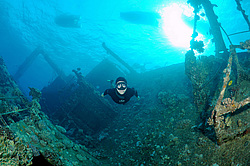 ��������� ������ �� ���������� ����� ������ �, ������� ����, ������