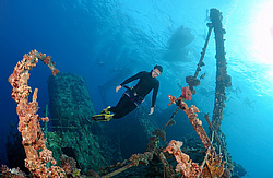 ��������� ������ �� ���������� ����� ������ �, ������� ����, ������