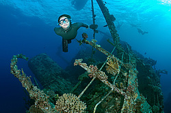 ��������� ������ �� ���������� ����� ������ �, ������� ����, ������