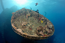 ��������� ������ �� ���������� ����� ������ �, ������� ����, ������