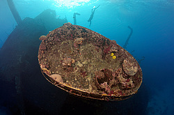 ��������� ������ �� ���������� ����� ������ �, ������� ����, ������