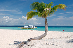 ������������ ������������ ����� - ����� ����� � ������������ �������. ���������