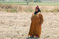 �����, �����