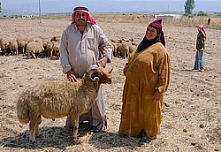 �����, �����