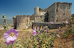 �����, �������� ���� �� �������