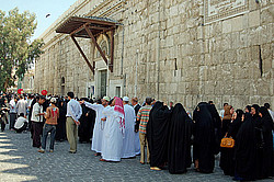 �����, ������