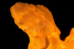 ��������� ��� ��������� ����