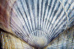 ��������� ��� ��������� ����