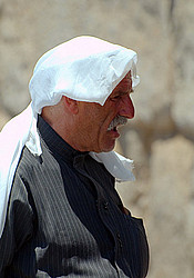 �����, ������