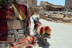 �����, �����