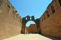 �����, �����