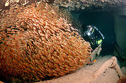 ���� ��� ��������� �� ���������� ����� 'SS Dunraven'