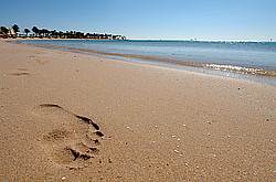 ������, ������� �������� ����, �������