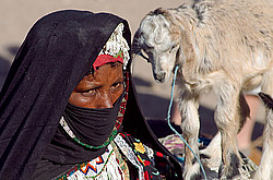 ������, ������� � �������