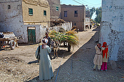 ������ - ����� ����� ����