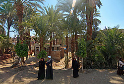 ������ - ����� ����� ����