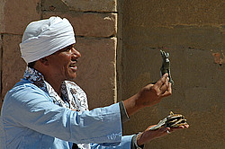 ������, ������