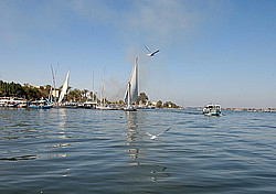 ������ - ����� ����� ����