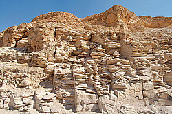 ������, ������