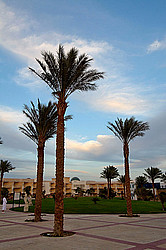 ������, ������� �������� ����, �������