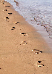 ������, ������� �������� ����, �������