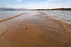 ������, ������� �������� ����, �������