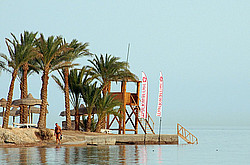 ������, ������� �������� ����, �������