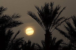 ������, ������� �������� ����, �������