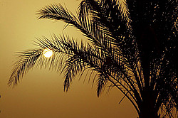 ������, ������� �������� ����, �������