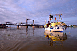 ����-��� "�������"