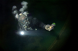 ��������� ������������ ����� ������, ����������� �� ����� ���