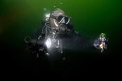 ��������� ������������ ����� ������, ����������� �� ����� ���