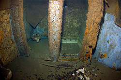 ��������� ������������ ����� ������, ����������� �� ����� ���