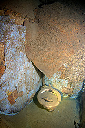 ��������� ������������ ����� ������, ����������� �� ����� ���