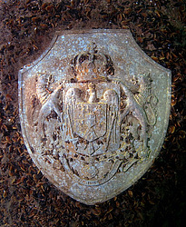 ��������� ������������ ����� ������, ����������� �� ����� ���