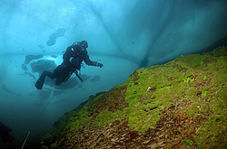 ��������� ���������� �� �������, ���� 2011