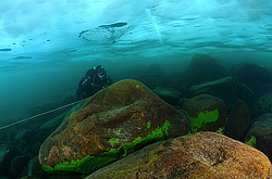 ��������� ���������� �� �������, ���� 2011