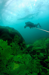 ��������� ���������� �� �������, ���� 2011