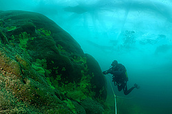 ��������� ���������� �� �������, ���� 2011