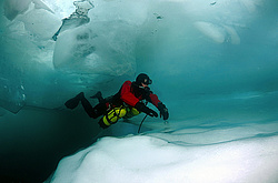 ������, ��������� ������������