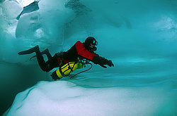 ������, ��������� ������������