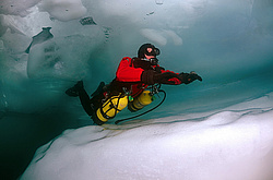 ������, ��������� ������������